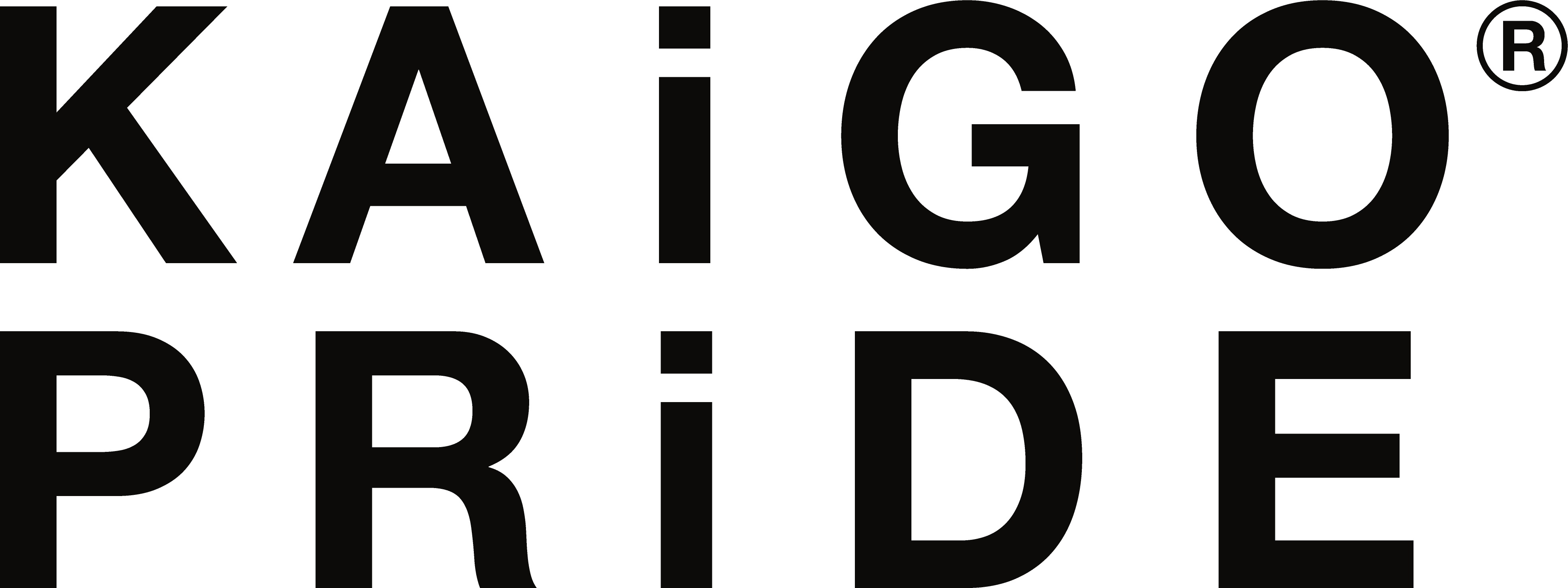 一般社団法人KAiGO PRiDE